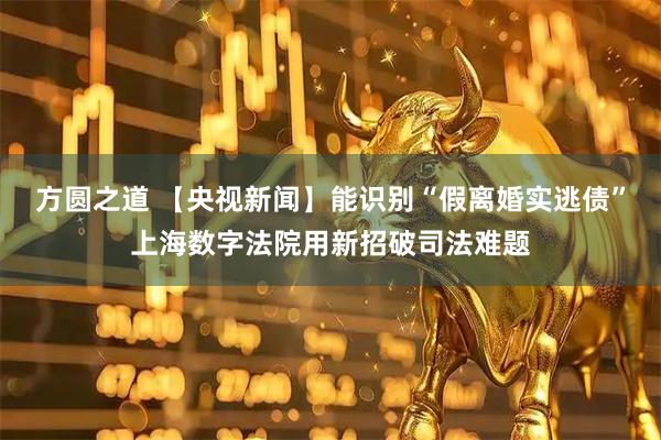 方圆之道 【央视新闻】能识别“假离婚实逃债”上海数字法院用新招破司法难题