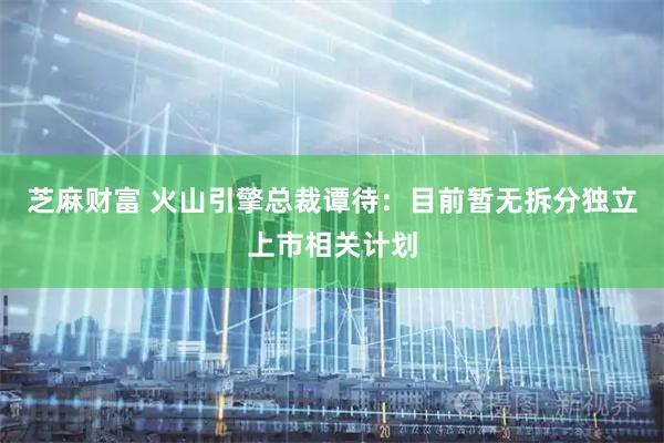 芝麻财富 火山引擎总裁谭待：目前暂无拆分独立上市相关计划